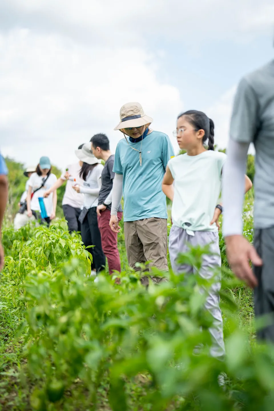 Peak Re - Sustainability Gallery - Farming 2