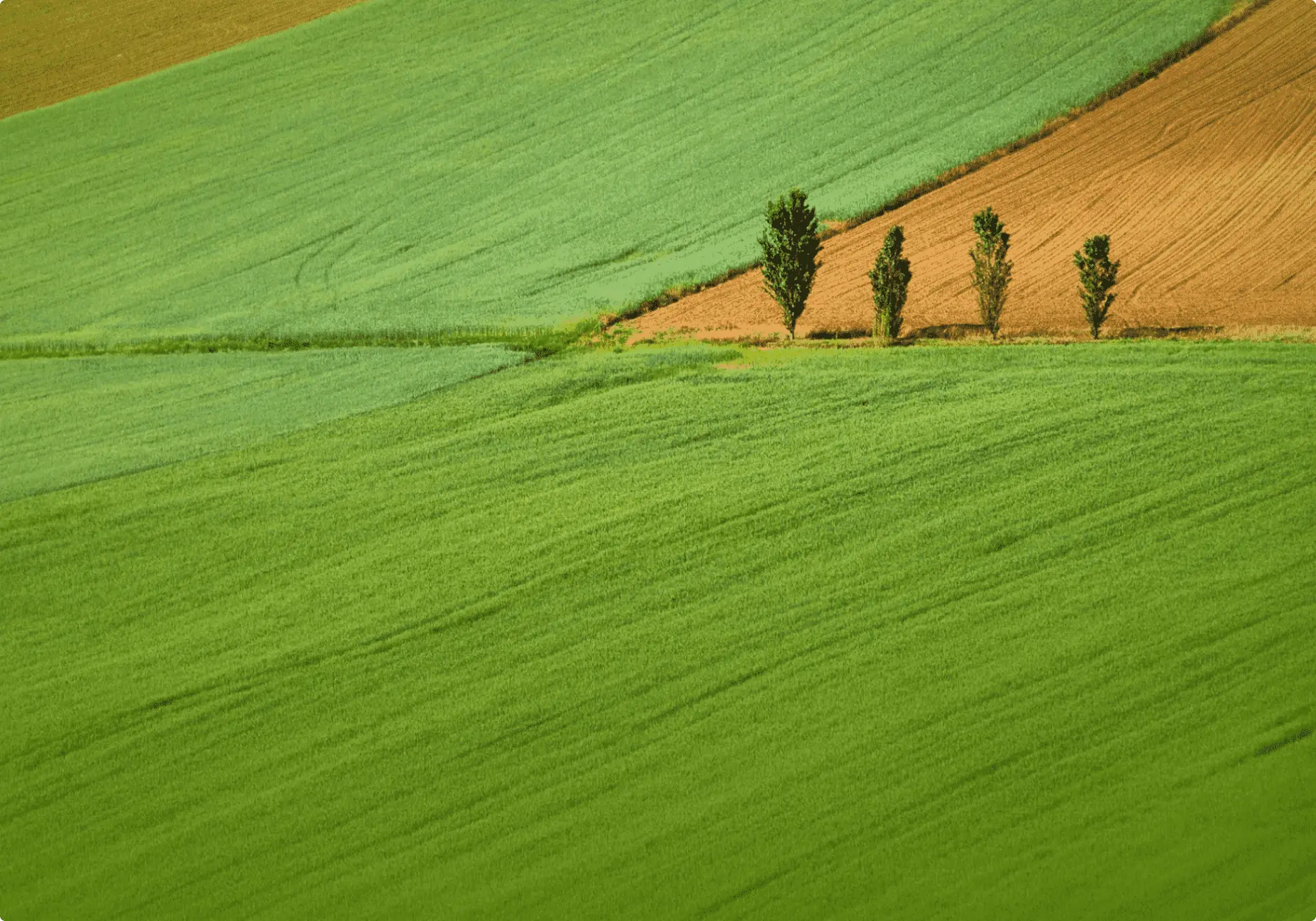 To protect our world, we’re committed to sustainability.