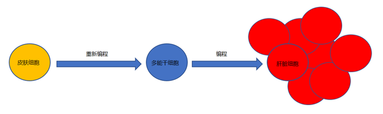 简化示例