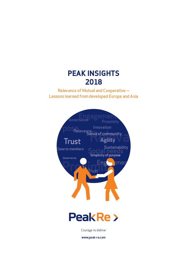 Peak Insights 2018 EN 1
