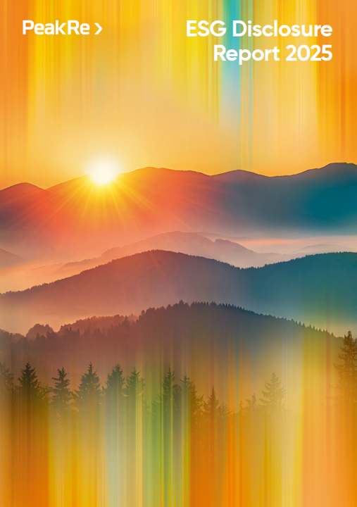 ESG Disclosure Report 2025