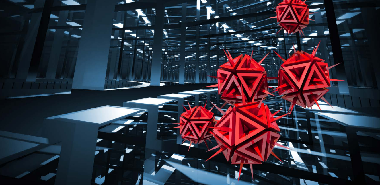 Malware: Frequency and Severity for Cyber