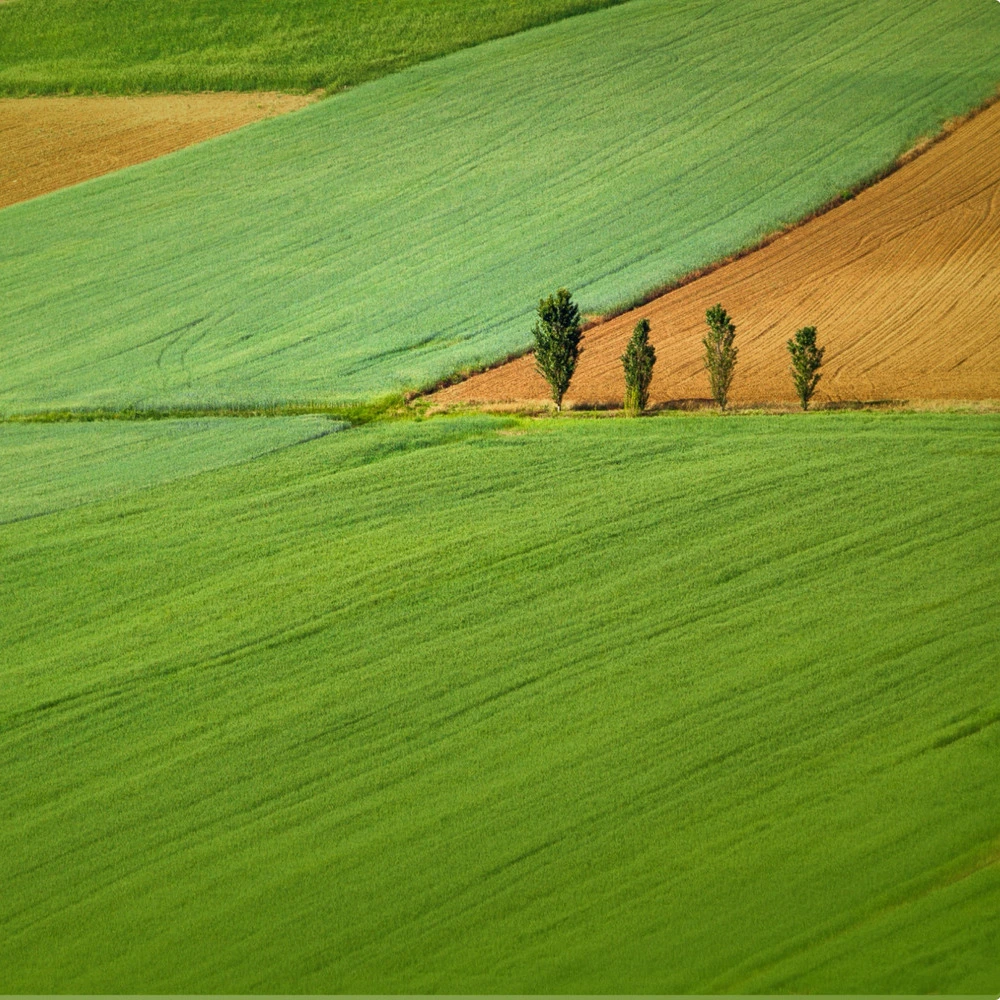 To protect our world, we’re committed to sustainability.